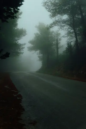 Une route asphaltée sombre et humide tourne à droite et disparaît dans un épais brouillard blanc. De grands arbres vert foncé