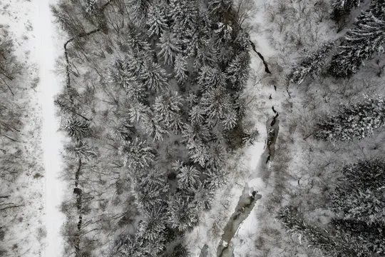 Pohled z ptačí perspektivy na hustý zimní les pokrytý sněhem. Úzká, klikatá cesta vede podél levé strany a...