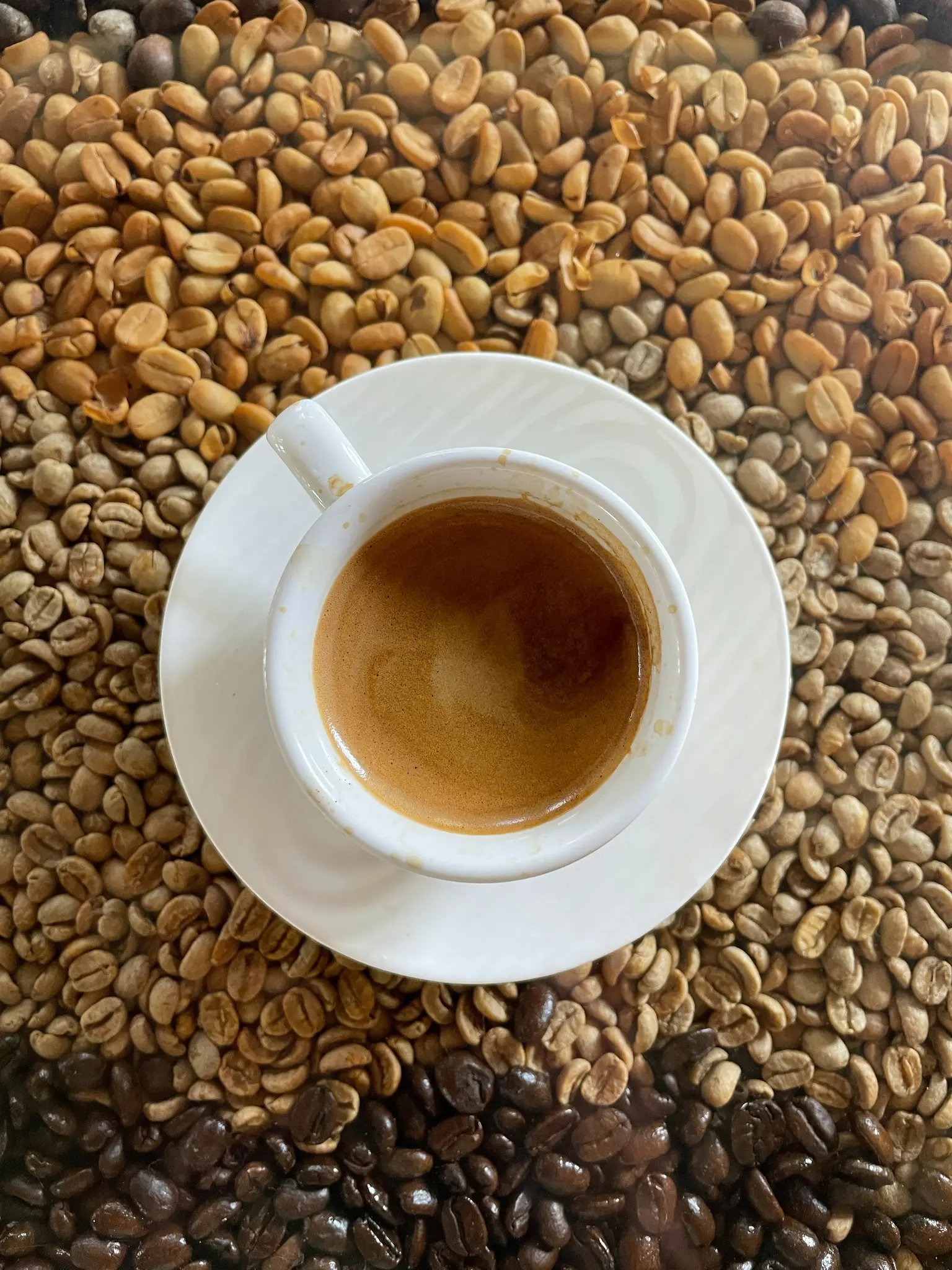 Een witte espressokop met schotel, gevuld met donkere koffie en crema, staat op een oppervlak bedekt met koffiebonen.