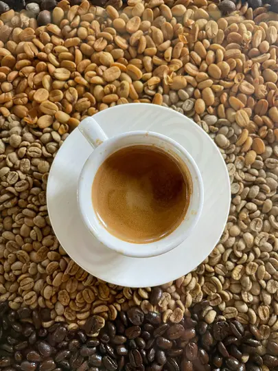 A white espresso cup with a saucer, filled with dark coffee and crema, sits on a surface covered with coffee beans of…