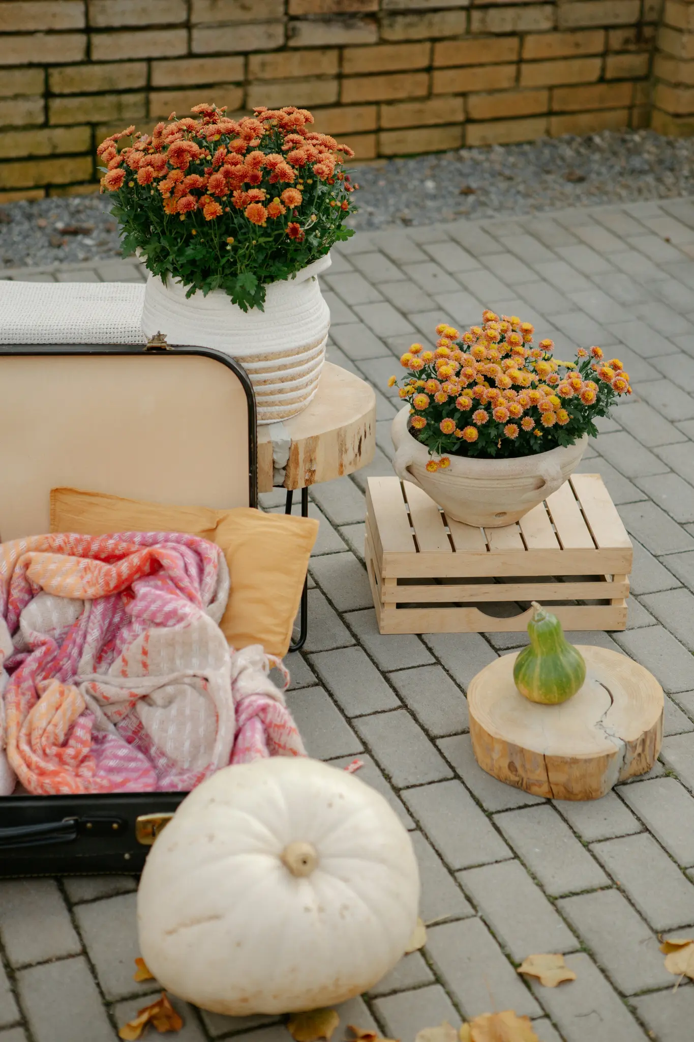 Een herfstachtige buitenopstelling met oranje chrysanten in potten, een witte pompoen, een groene kalebas en een koffer op