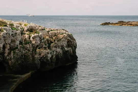 En måge flyver over en barsk, gråbrun klippe med grønne pletter, mens andre måger sidder ovenpå. Det rolige hav i baggrunden.