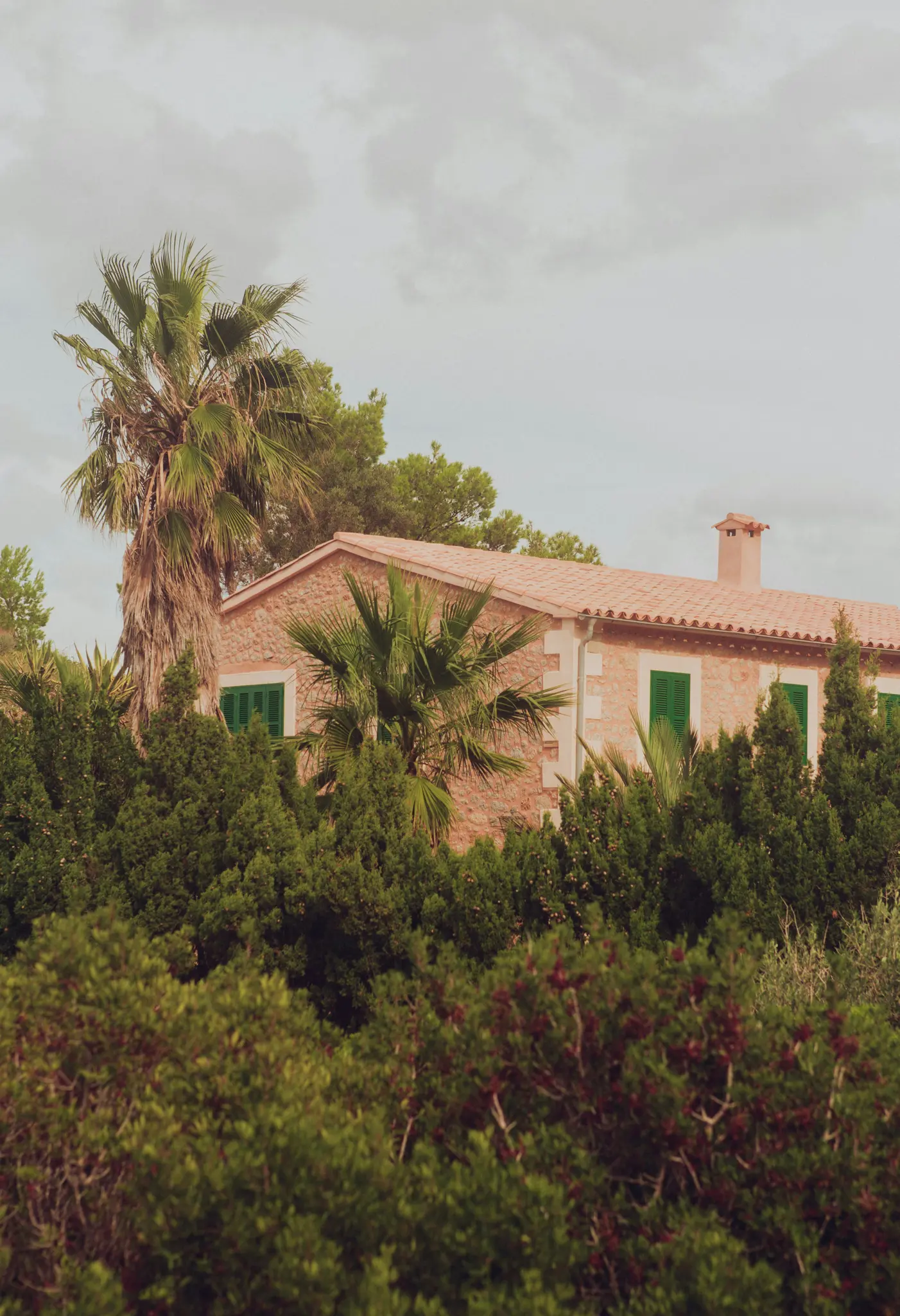 Een stenen huis met een terracotta dakpan en groene luiken is gedeeltelijk verborgen door dichte groene bomen en palmbomen…