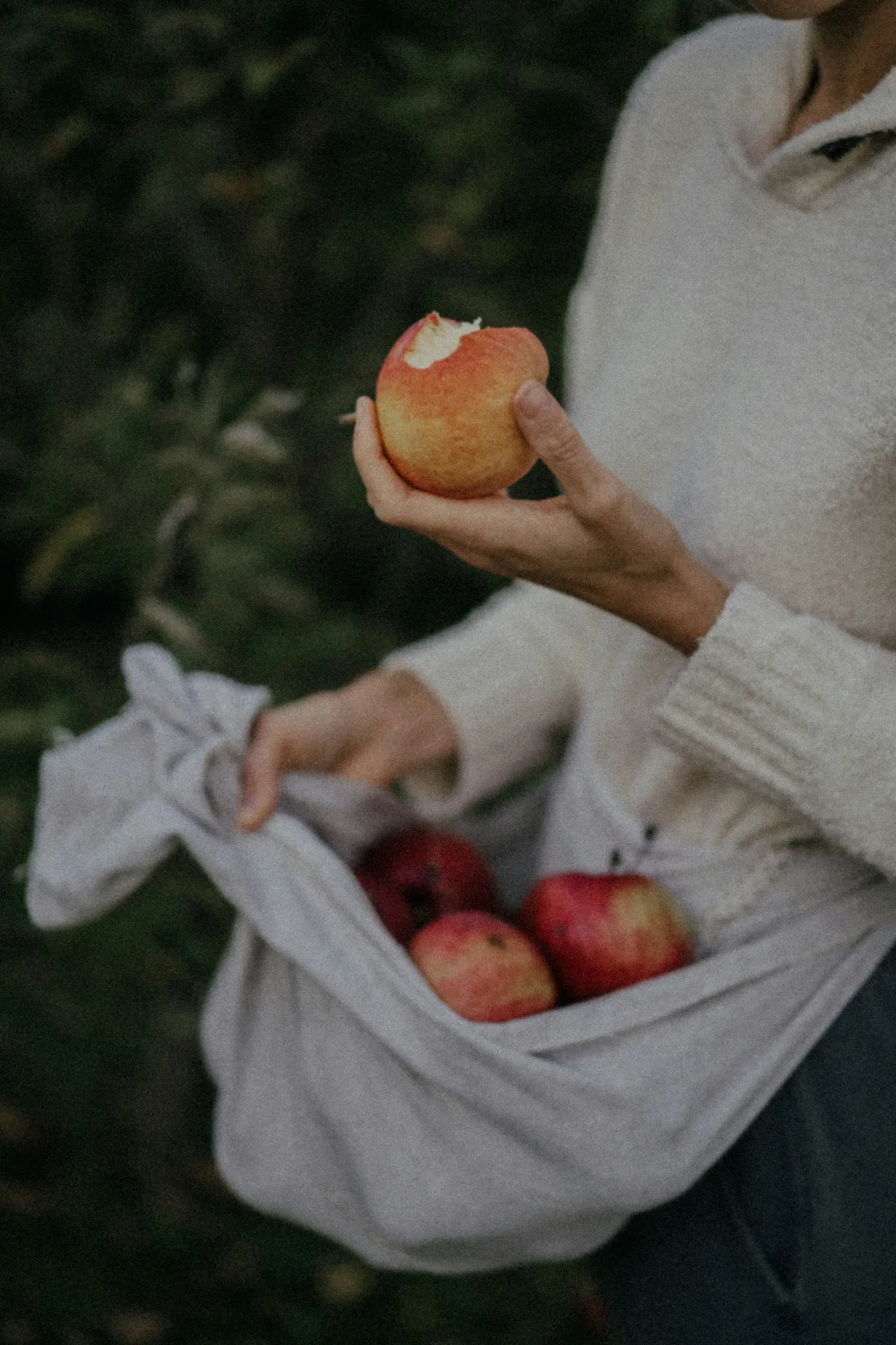 Hände einer Person, eine hält einen roten und gelben Apfel mit einem Biss, die andere eine Stofftasche voller...