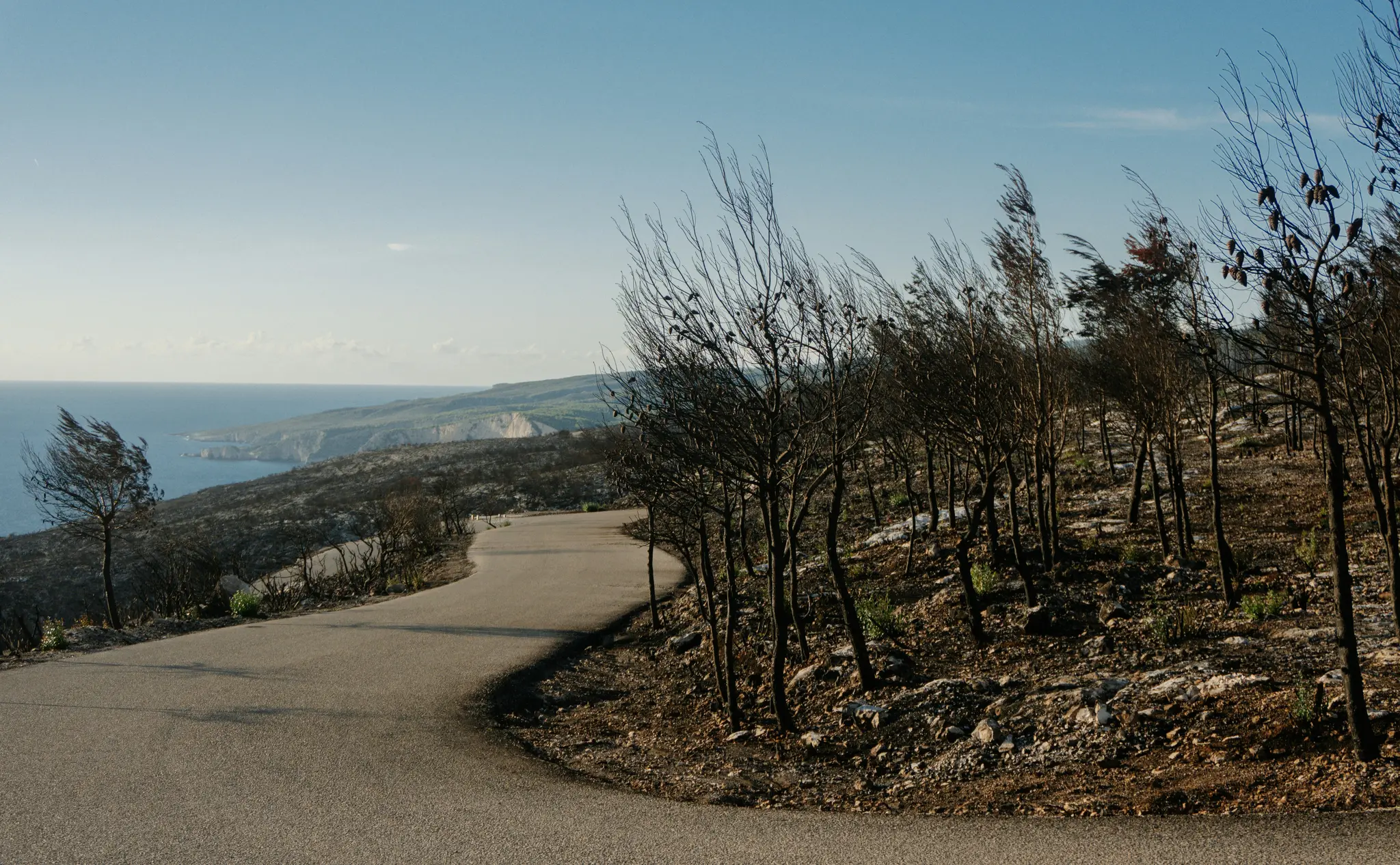 Eine gewundene Asphaltstraße durchschneidet eine trostlose, verbrannte Landschaft mit kahlen Bäumen. Das Meer und eine