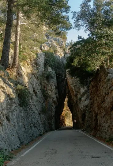 Une route pavée mène dans un tunnel naturel étroit en roche, le soleil illuminant le chemin devant. Des arbres poussent sur