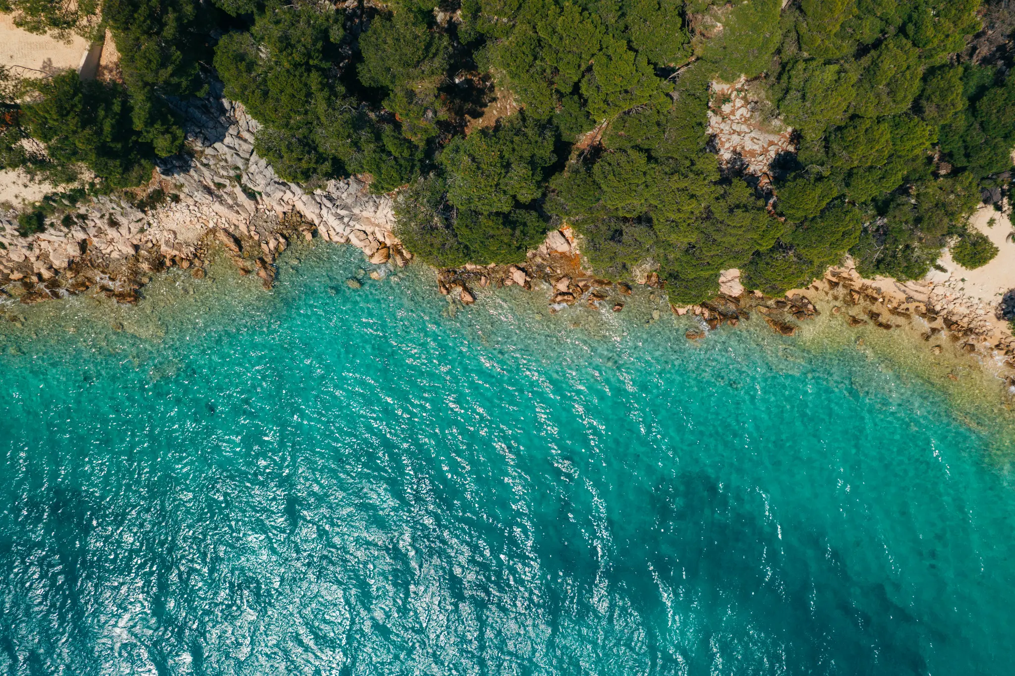 An aerial shot looking straight down at a vibrant turquoise sea meeting a rocky coastline covered in dense green trees.