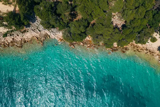 An aerial shot looking straight down at a vibrant turquoise sea meeting a rocky coastline covered in dense green trees.
