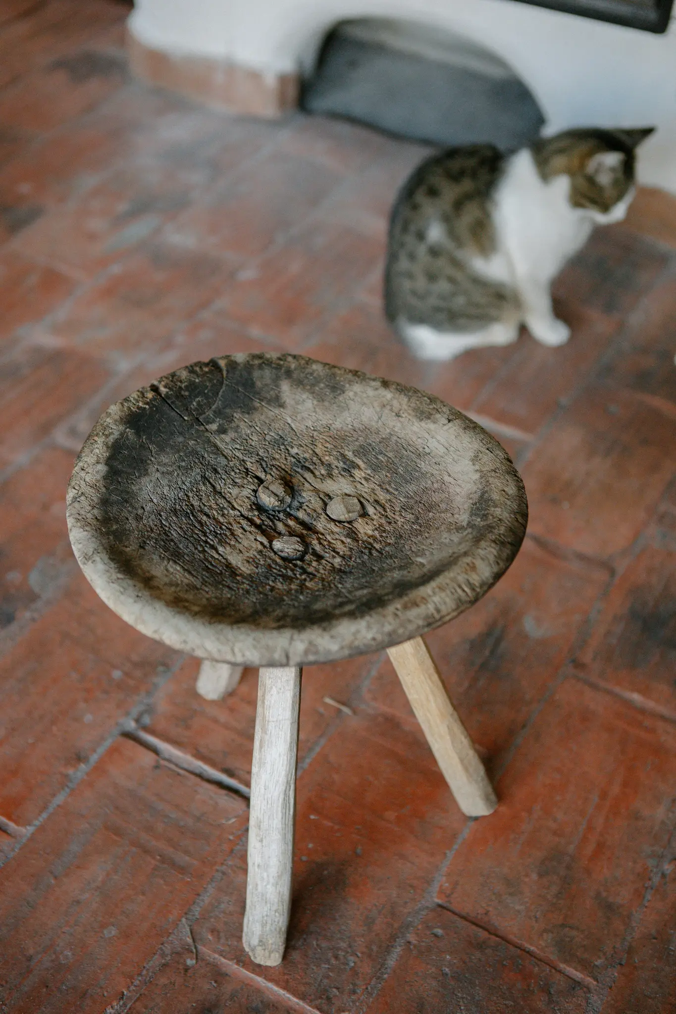 Een verweerde, donkere houten kruk met drie lichtgekleurde poten staat op een roodbruine tegelvloer. Een cyperse kat is vaag