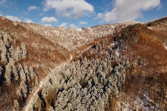 O fotografie aeriană prezintă un peisaj montan vast, acoperit de zăpadă. Copacii veșnic verzi sunt încărcați greu cu zăpadă