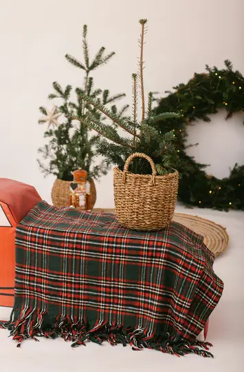 A close-up shot of Christmas decorations, including a red and green plaid blanket, small potted fir trees, and a nutcracker.
