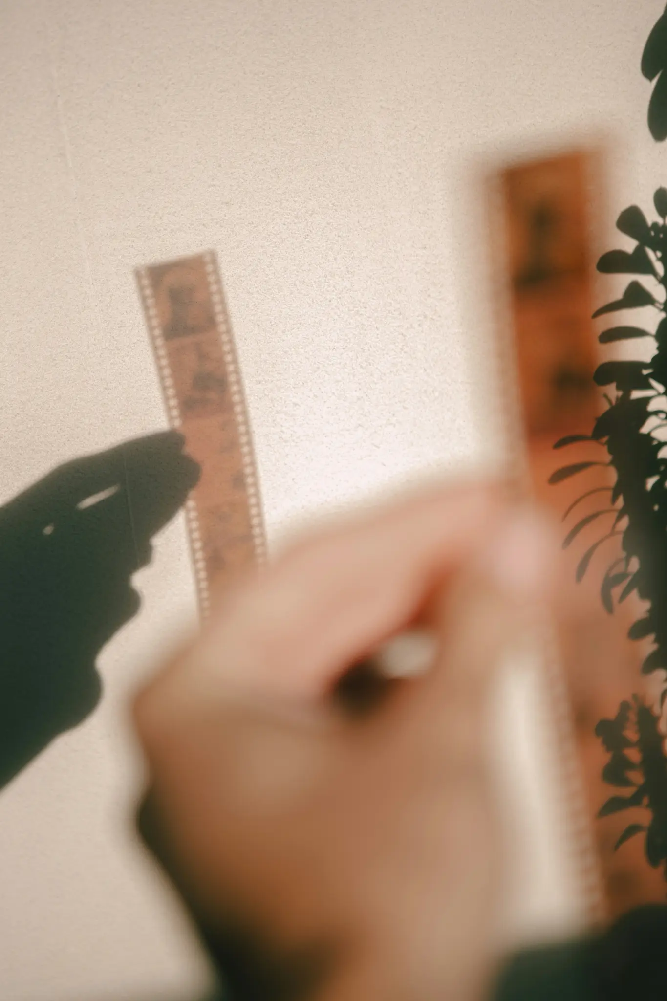 Eine unscharfe Nahaufnahme zeigt eine Hand, die einen Streifen fotografischen Films hält. Schatten einer Hand und von