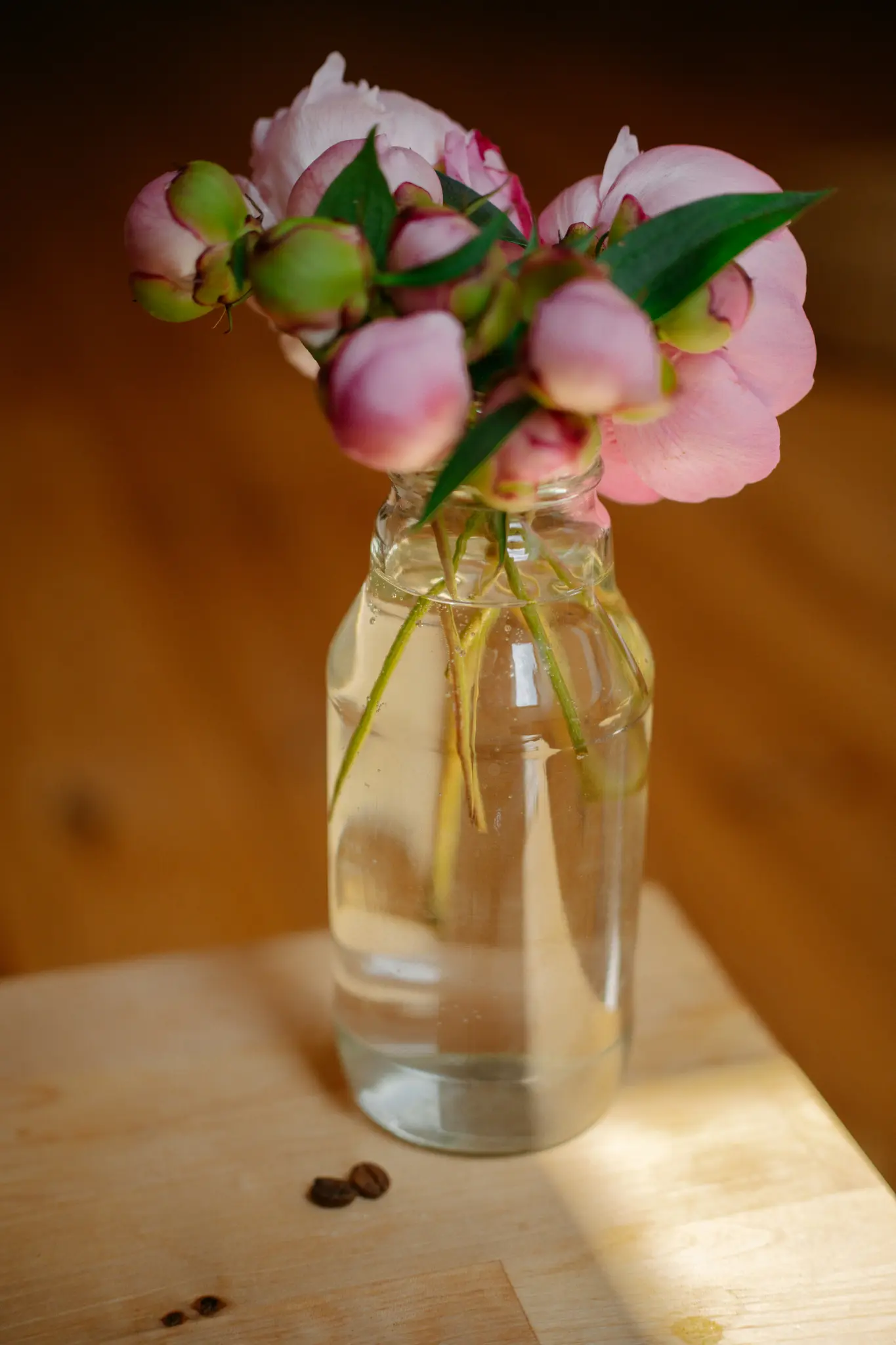 Een heldere glazen fles bevat verschillende roze pioenknopjes en een gedeeltelijk geopende roze pioen. Twee koffiebonen