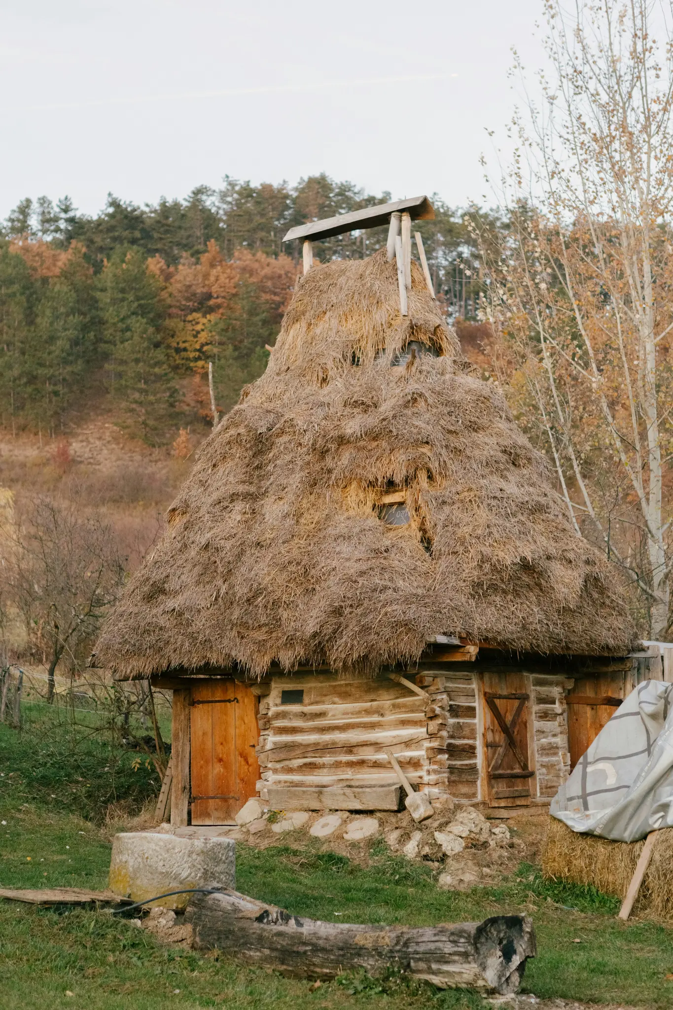 O casă rustică din lemn cu un acoperiș mare, conic, de paie, stă într-un câmp gazonat. Dealuri și copaci în fundal.