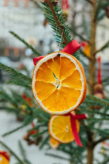 A close-up shot of a dried orange slice, adorned with a red ribbon, hanging from a green pine tree branch.