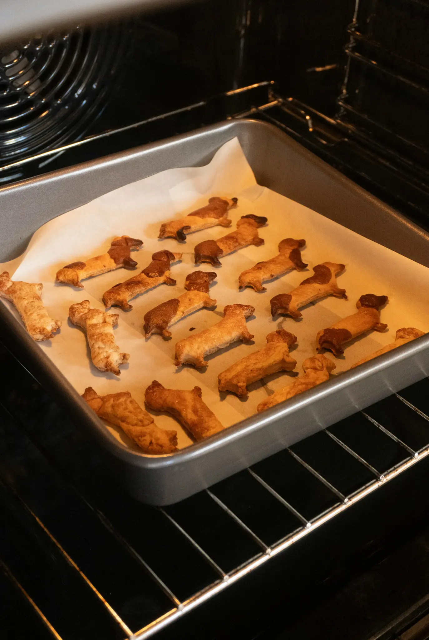 Une plaque de cuisson en métal recouverte de papier sulfurisé contient de nombreux biscuits en forme de teckel, certains avec