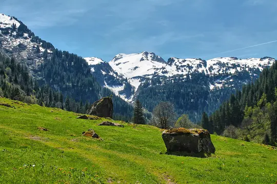 A wide landscape view of a bright green grassy hillside with several large mossy boulders. In the background, dense pine…