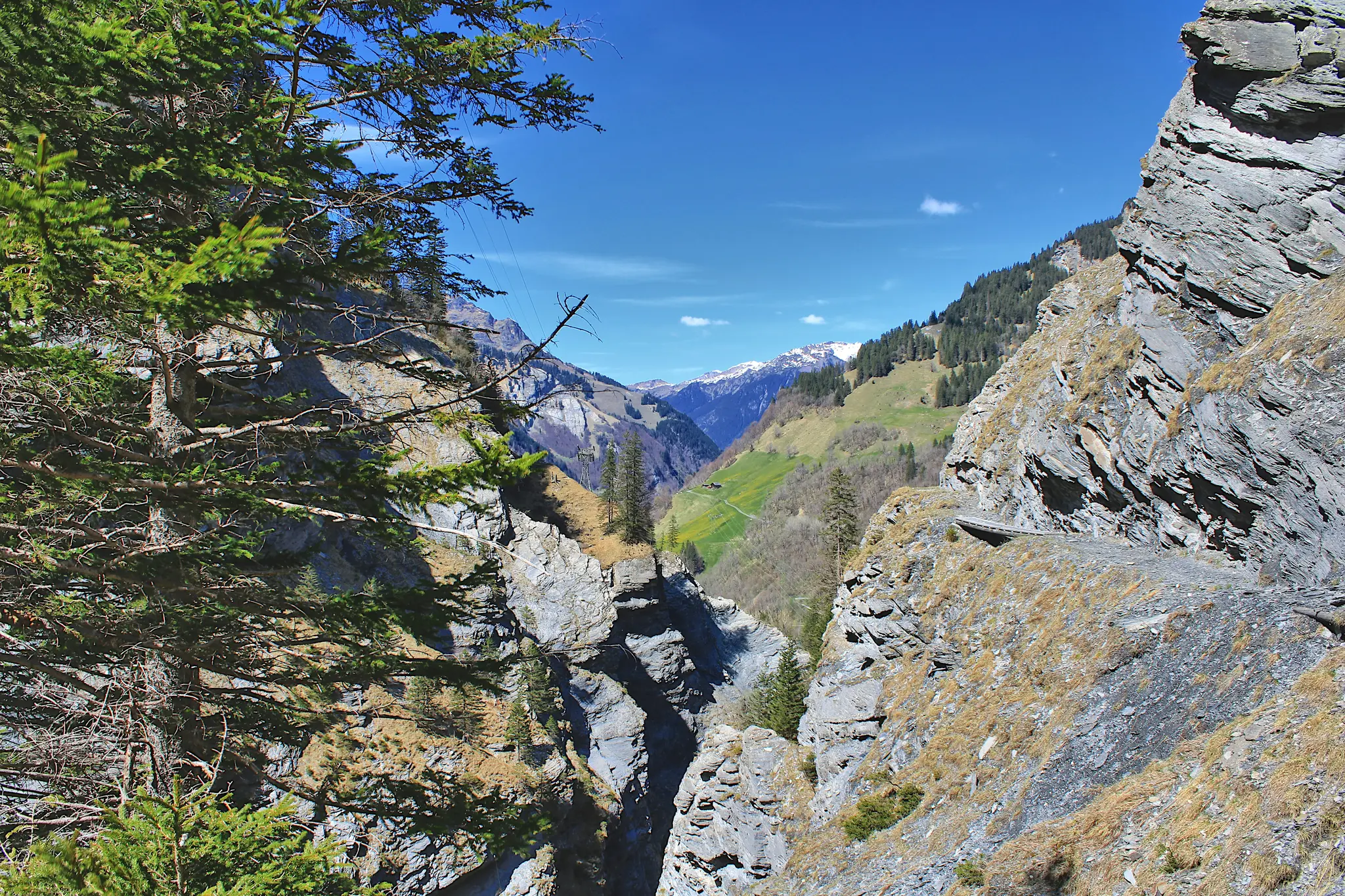 A wide landscape view of a deep mountain valley. Steep, grey rocky cliffs dominate the foreground, with green pine trees on…