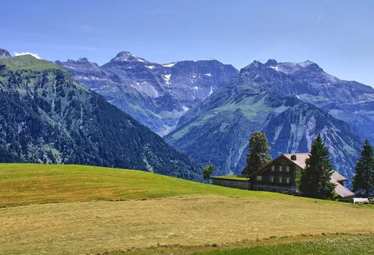 A traditional wooden house with a brown roof is nestled on a vibrant green and golden hillside. Behind it, dense green…