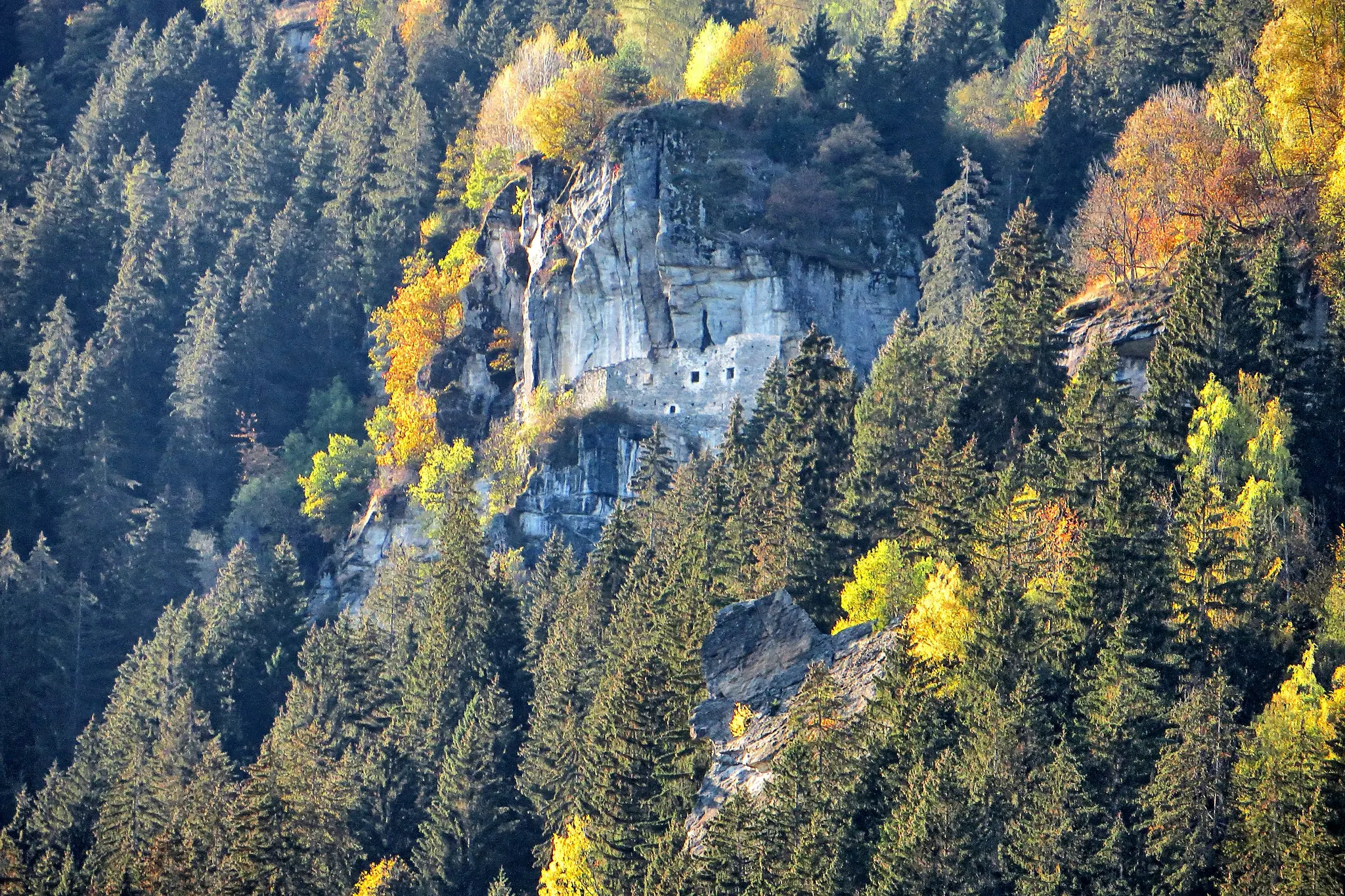 A dense forest in autumn with pine trees and bright yellow and orange deciduous trees. A grey rocky cliff face features a…