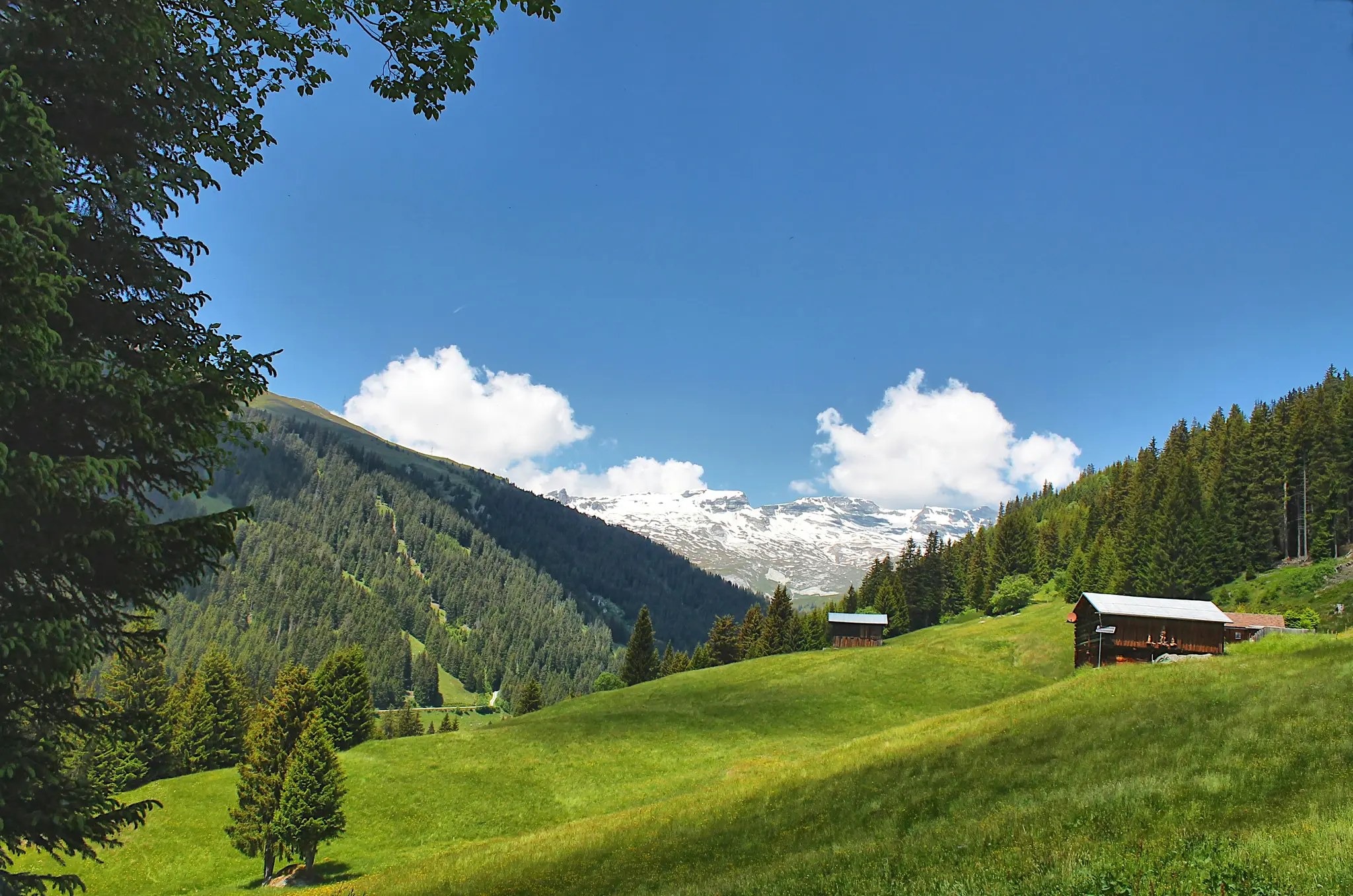 A panoramic view of a verdant mountain valley. Green grassy slopes lead up to dense pine forests, with two wooden chalets…