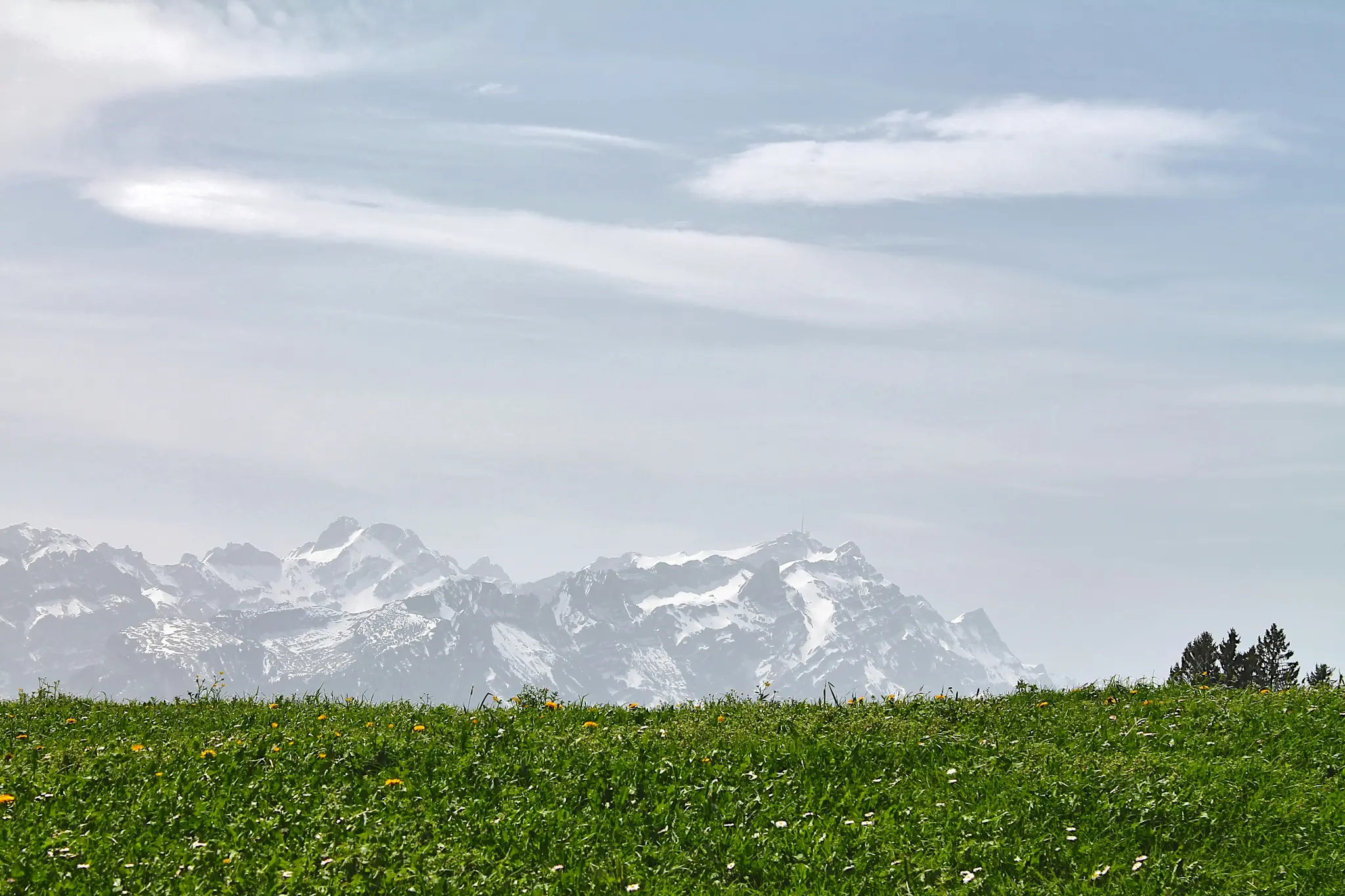 A wide landscape photo featuring a vibrant green field dotted with small yellow and white flowers in the foreground. In the…