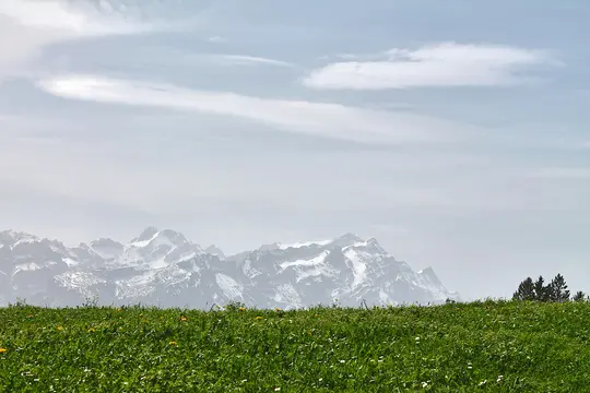 A wide landscape photo featuring a vibrant green field dotted with small yellow and white flowers in the foreground. In the…