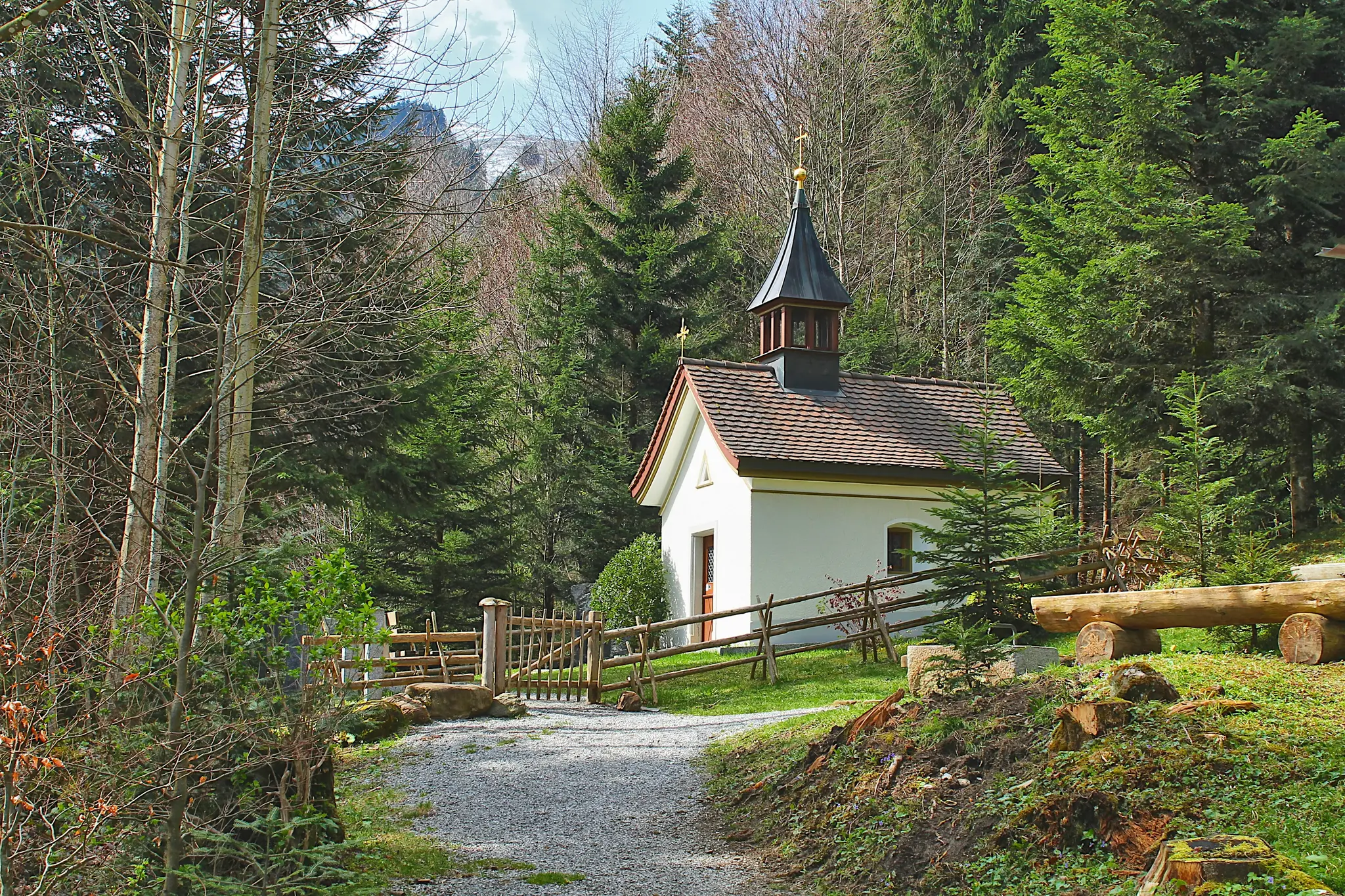 A small white chapel with a dark steeple and a golden cross is nestled in a vibrant green forest, with a gravel path.