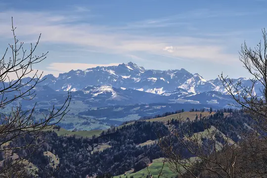 En panoramaudsigt over sneklædte bjerge under en blå himmel, med bølgende grønne bakker og mørke skove i mellemgrunden.