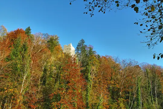 En klar blå himmel over en bjergskråning dækket af efterårstræer med orange, grønne og brune blade, der afslører en stenruin.