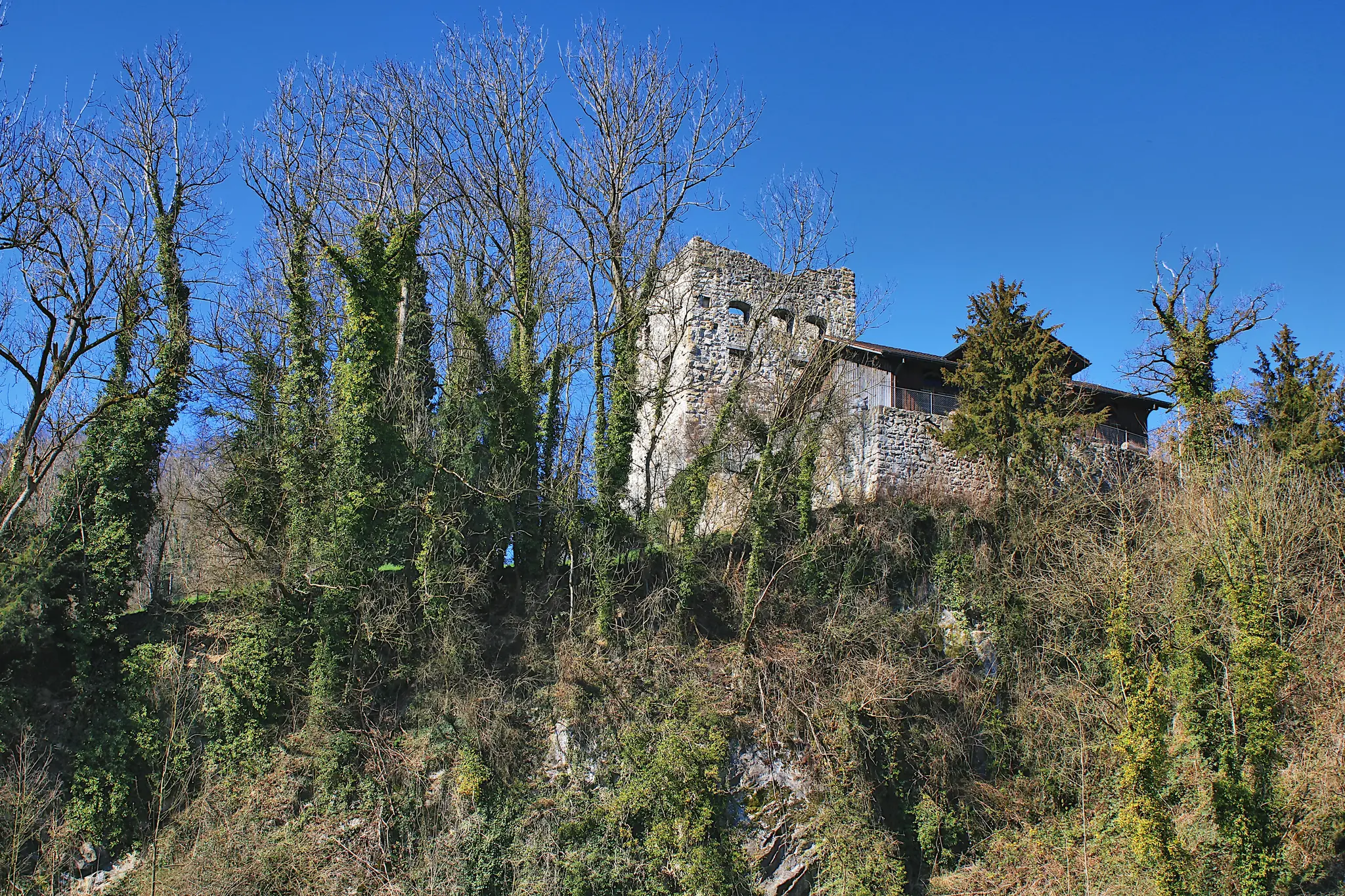 A stone building with a wooden roof is nestled on a steep, tree-covered hillside under a clear blue sky. Many trees are…