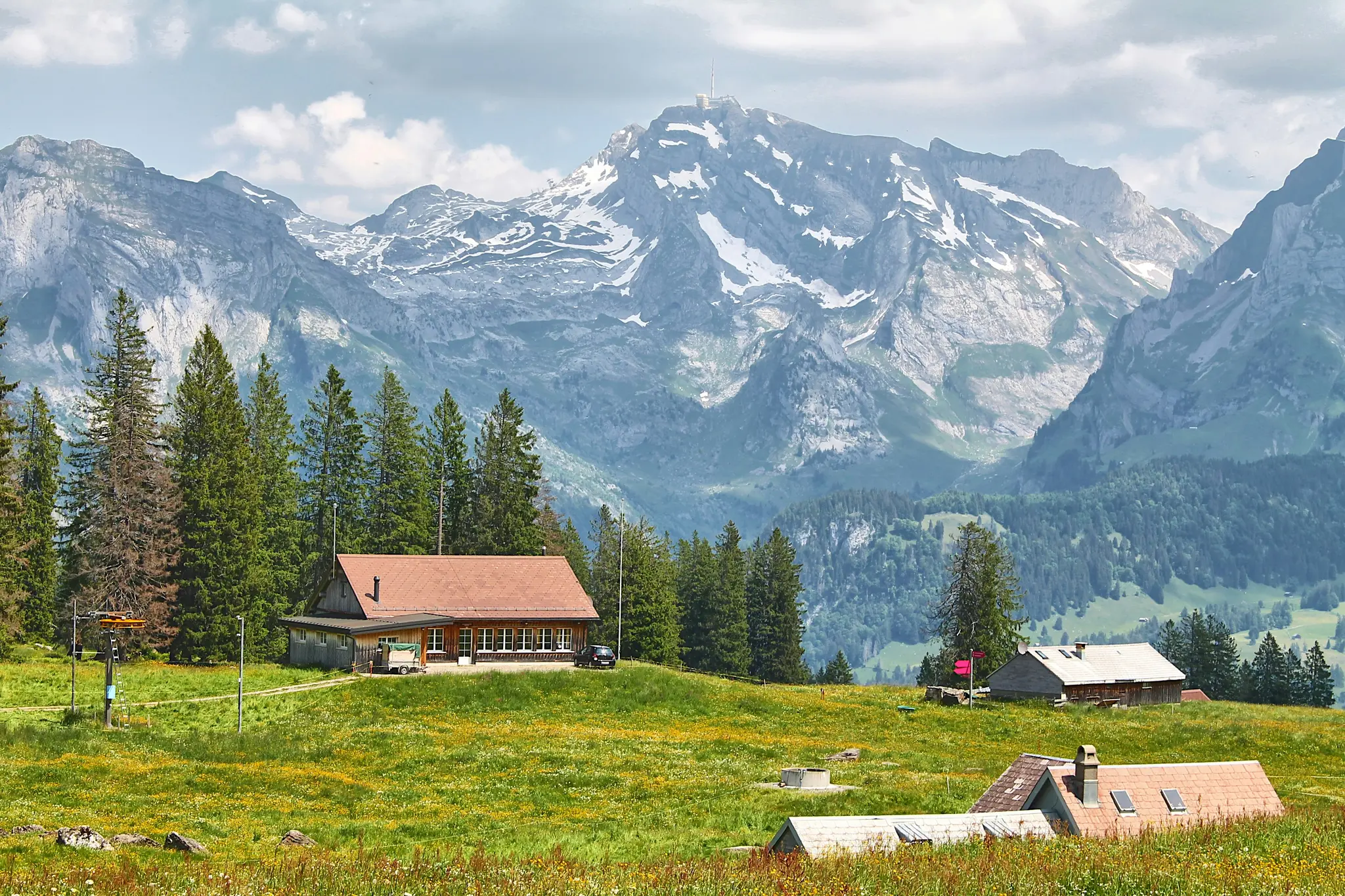 A wide landscape view of a green alpine meadow with yellow wildflowers, several wooden buildings, and tall pine trees. In…