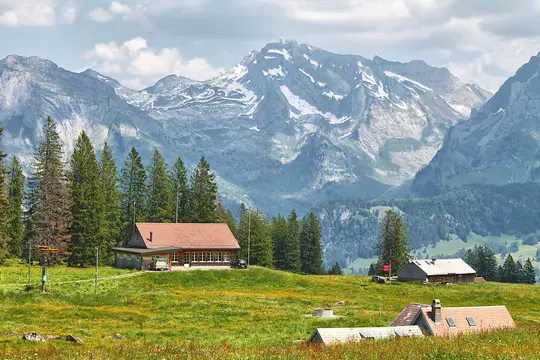 A wide landscape view of a green alpine meadow with yellow wildflowers, several wooden buildings, and tall pine trees. In…