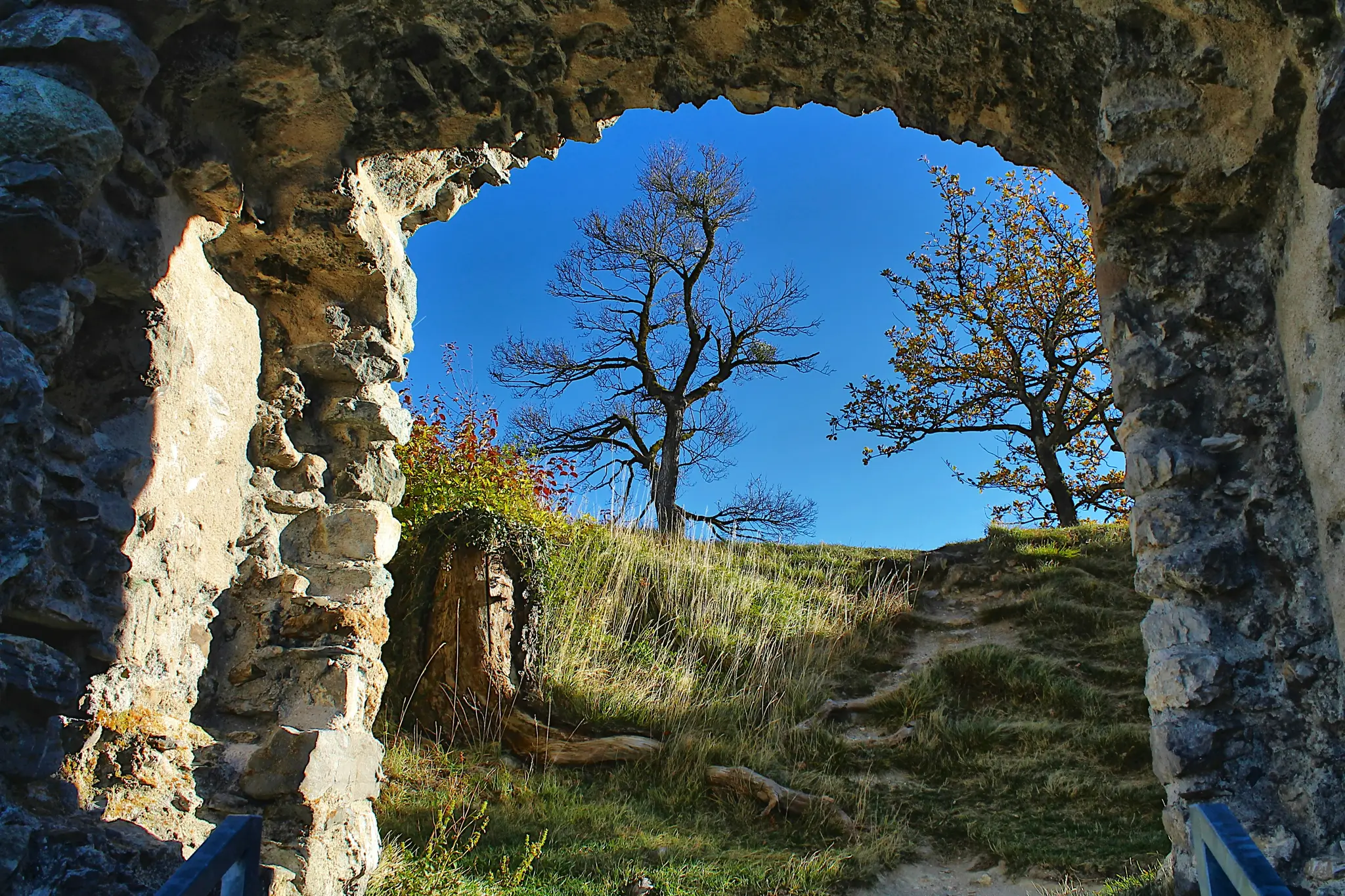 A view through a rough stone archway reveals a grassy hill under a bright blue sky. A bare tree stands prominently on the…