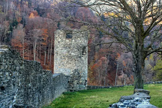 A stone tower and a crumbling stone wall stand in a grassy area. A large, bare tree is on the right. An autumn forest…