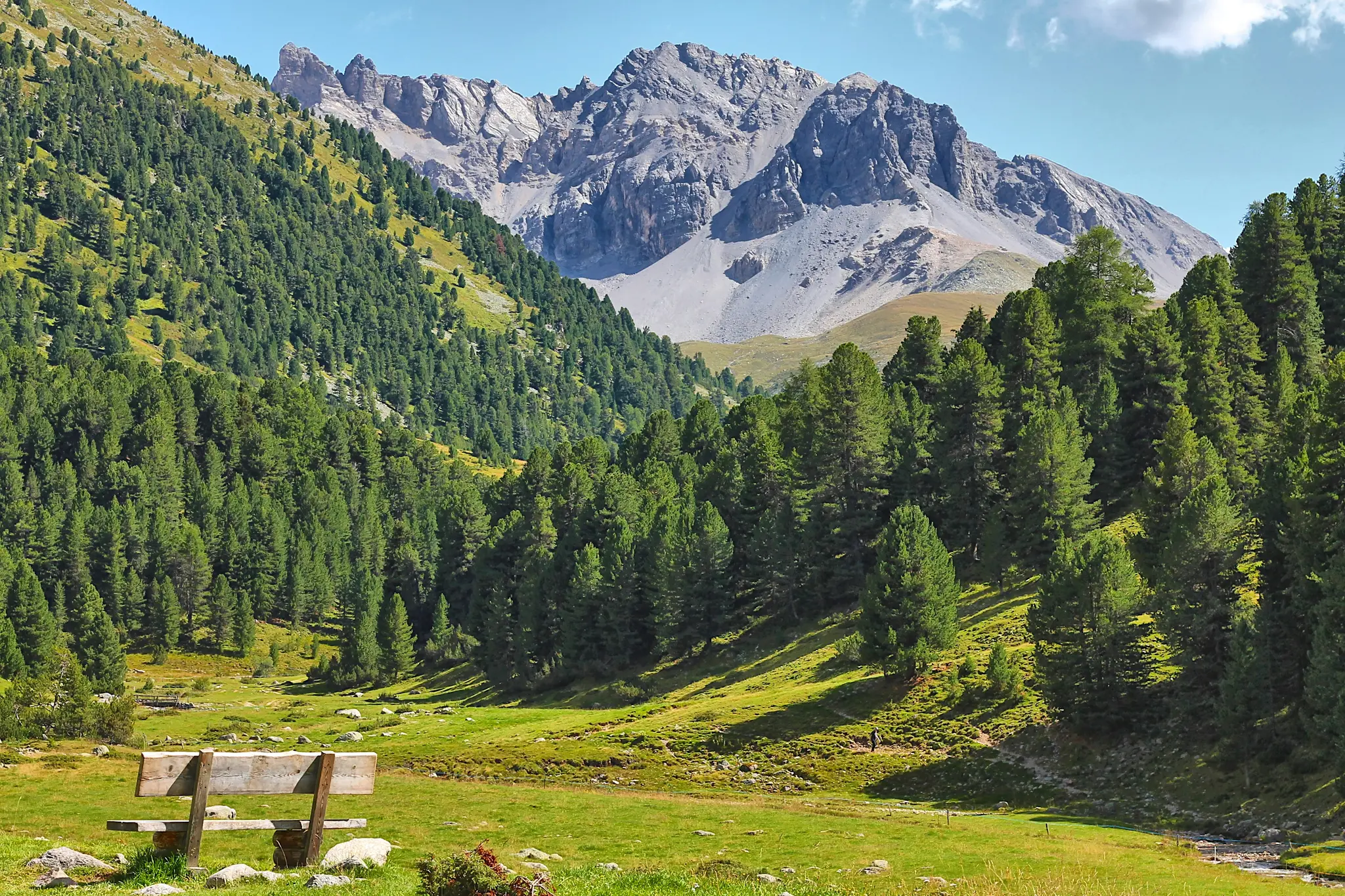 A wooden bench rests in a vibrant green meadow, flanked by dense pine forests and towering grey mountains under a clear…
