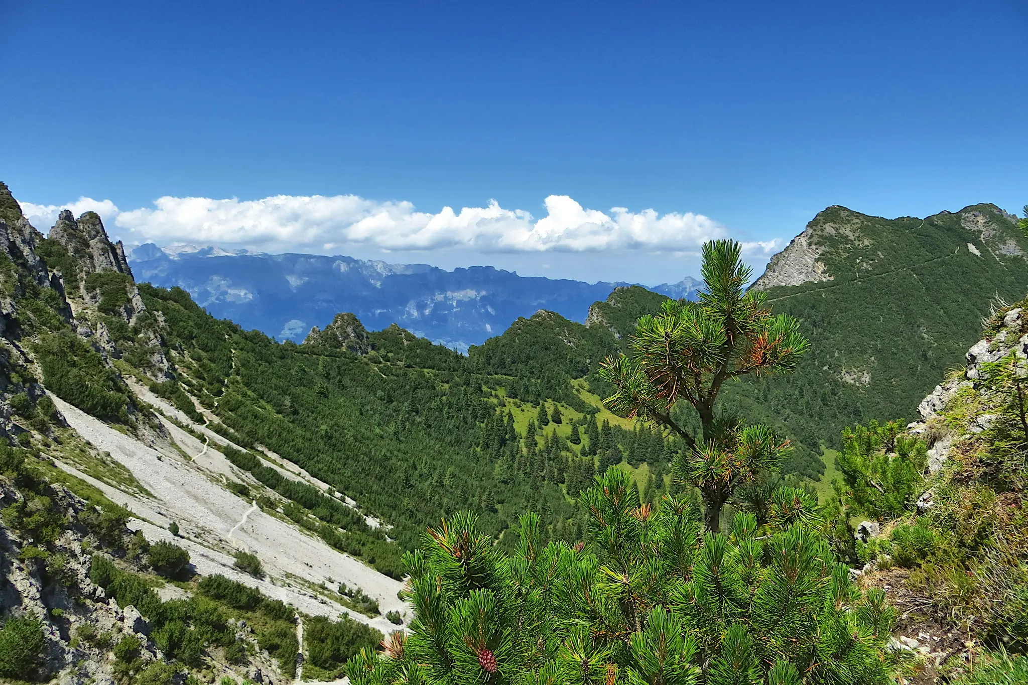 A wide landscape photo of mountains under a bright blue sky with white clouds. Green trees cover many slopes, while some…