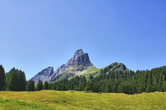 A majestic rocky mountain peak dominates the center, flanked by green, tree-covered hills and a lush meadow where cows graze.