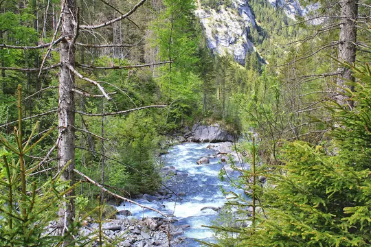 En levende grøn skov omgiver en hurtigtflydende blå flod, med høje klippefyldte bjerge synlige i baggrunden under…