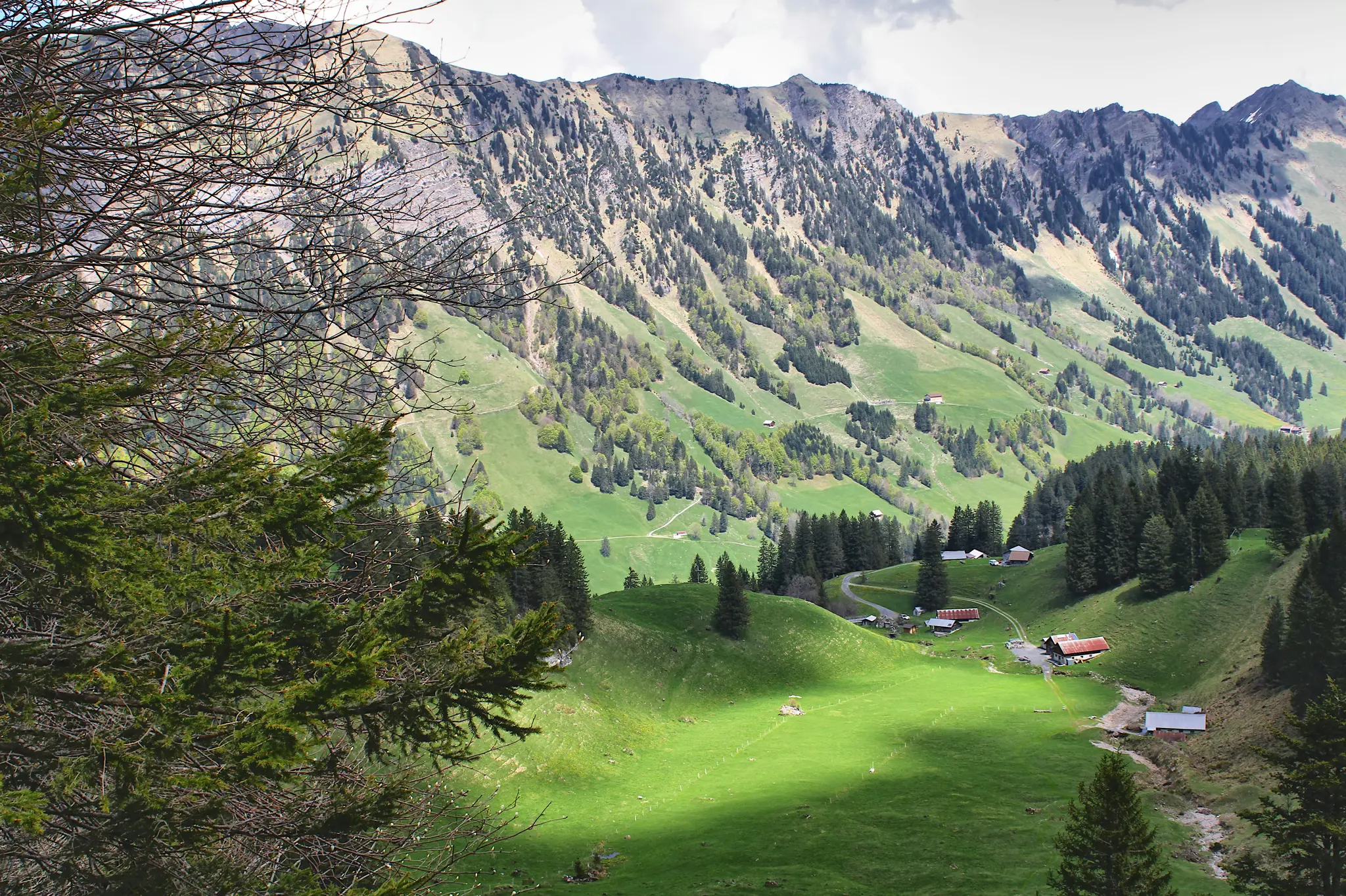 A wide landscape photo showing a lush green alpine valley with steep mountainsides covered in trees and grass. Several…