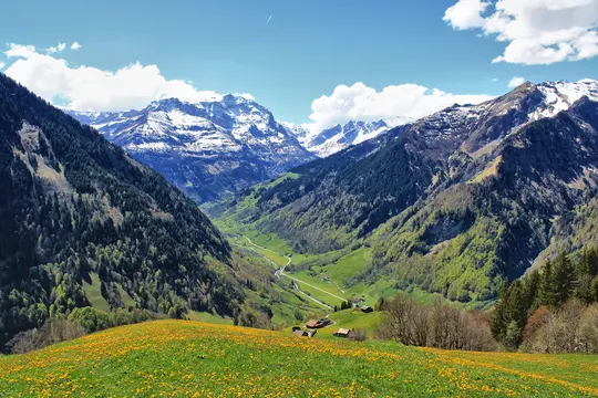 A vibrant landscape photo shows a valley with a field of yellow dandelions in the foreground, leading to green forested…
