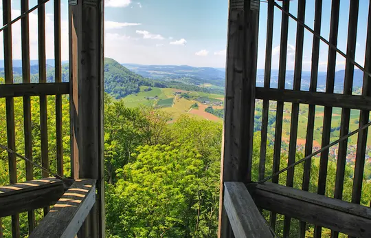 A view from a wooden lookout tower showing a wide valley with green forests, cultivated fields, and distant towns under a…