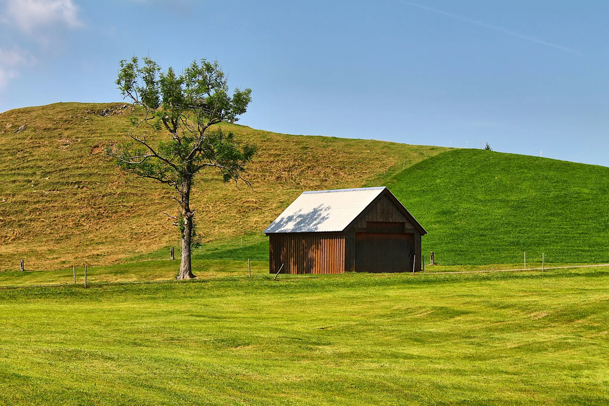 A small, rustic wooden barn with a corrugated white roof sits in a lush green field. A leafy tree stands to its left.…