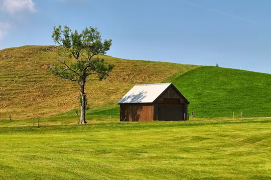 A small, rustic wooden barn with a corrugated white roof sits in a lush green field. A leafy tree stands to its left.…