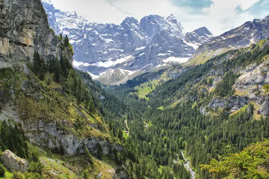 A wide landscape photo of a mountain valley. Snow-capped peaks rise in the background, while dense green forests fill the…