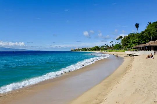 A vibrant landscape photo of a tropical beach with clear turquoise ocean water, golden sand, and green palm trees.