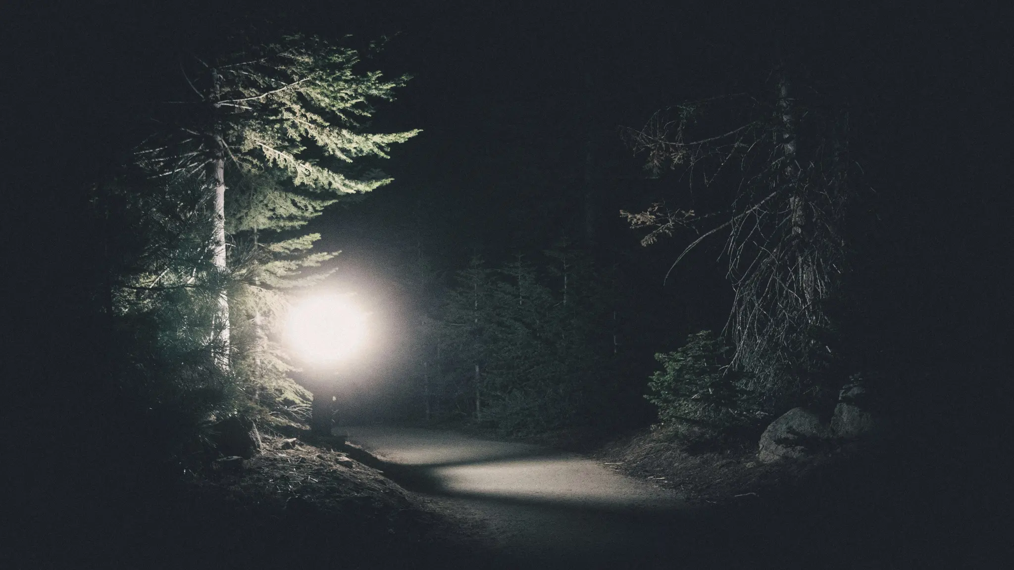 Un sentier forestier sombre et étrange la nuit, illuminé par une source de lumière circulaire et vive sur la gauche