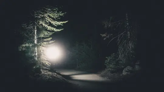 A dark, eerie forest path at night, illuminated by a bright, circular light source on the left, casting shadows.