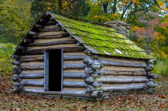 Une cabane en rondins patinée avec un toit vert vif couvert de mousse et une porte sombre se dresse au milieu des feuilles