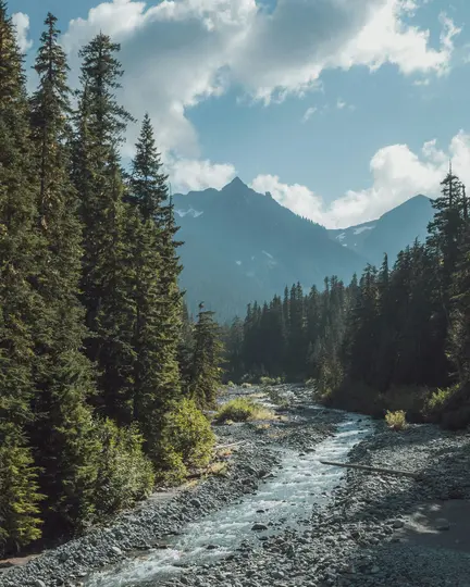 A wide shot of a clear river flowing over a rocky bed, flanked by dense evergreen forests, with large mountains under a…